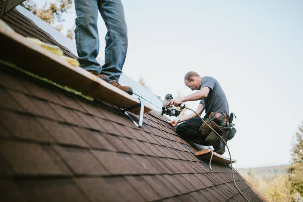 Roof Gutter Cleaning in New Smyrna Beach, FL